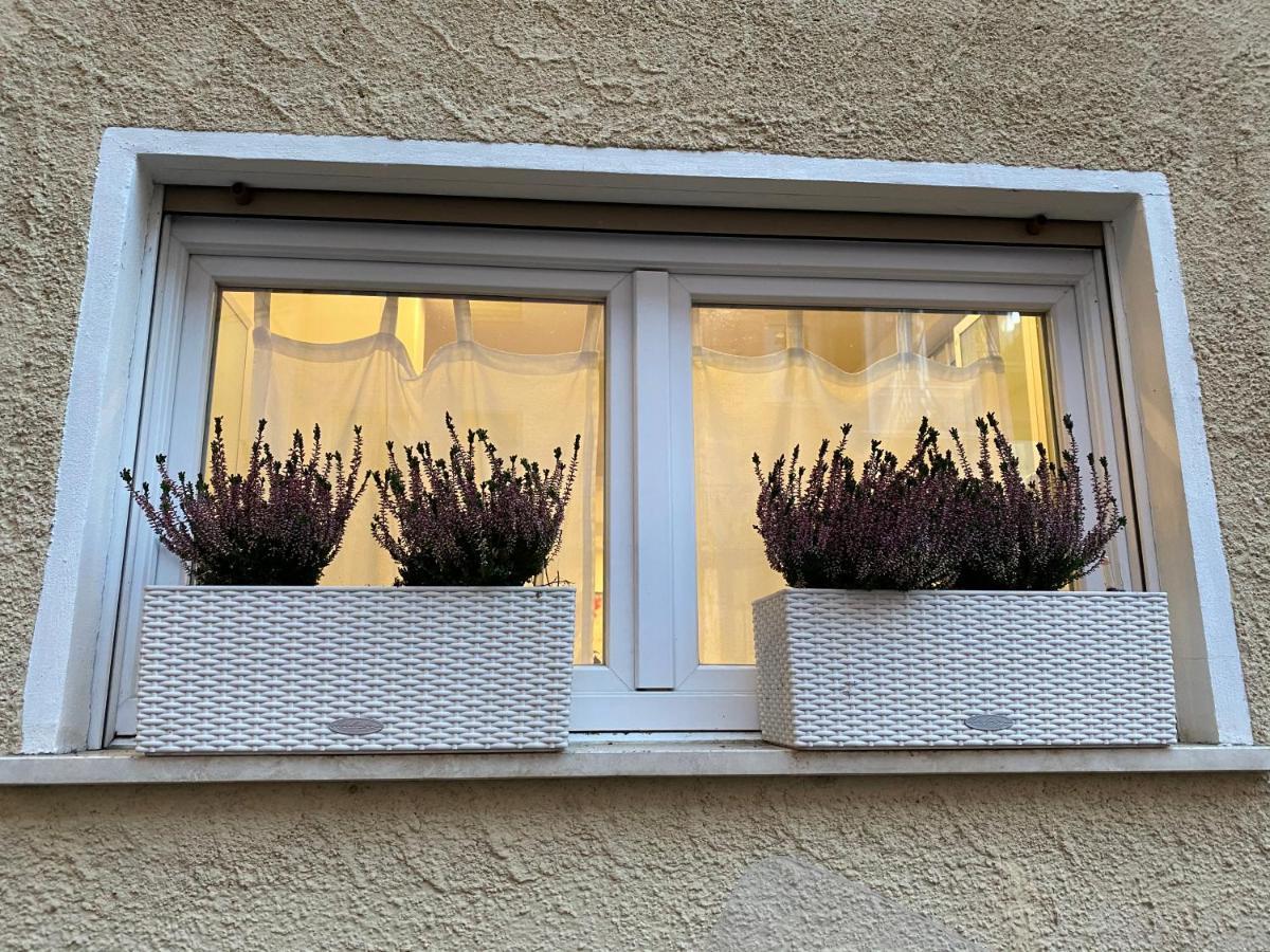 Samy S Home 1 Free Parking Wi-Fi Bolzano Exterior photo